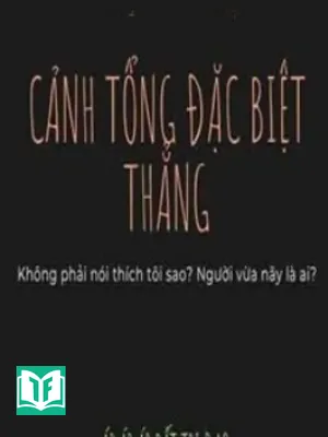 Cảnh Tổng Đặc Biệt Thẳng