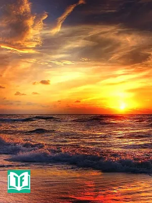 Hồng Lâu Chi Thứ Tử Giả Hoàn Truyện