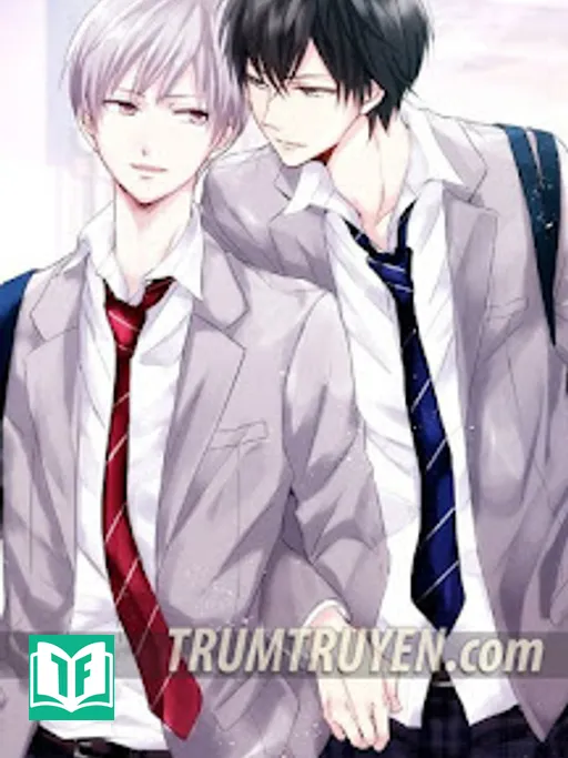 Ký Túc Xá Nam Có Thể Gay Ra Sao