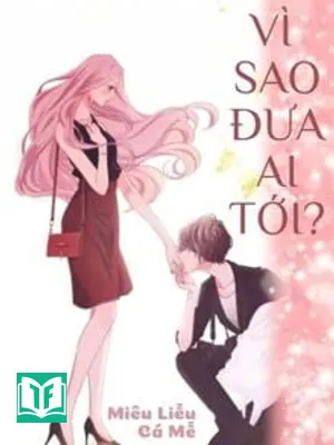 Vì Sao Đưa Ai Tới