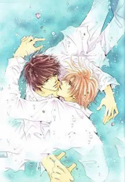 Kim Chủ Là Bạn Trai Cũ Của Tôi