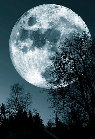 Thiên Hồng Ma Đạo